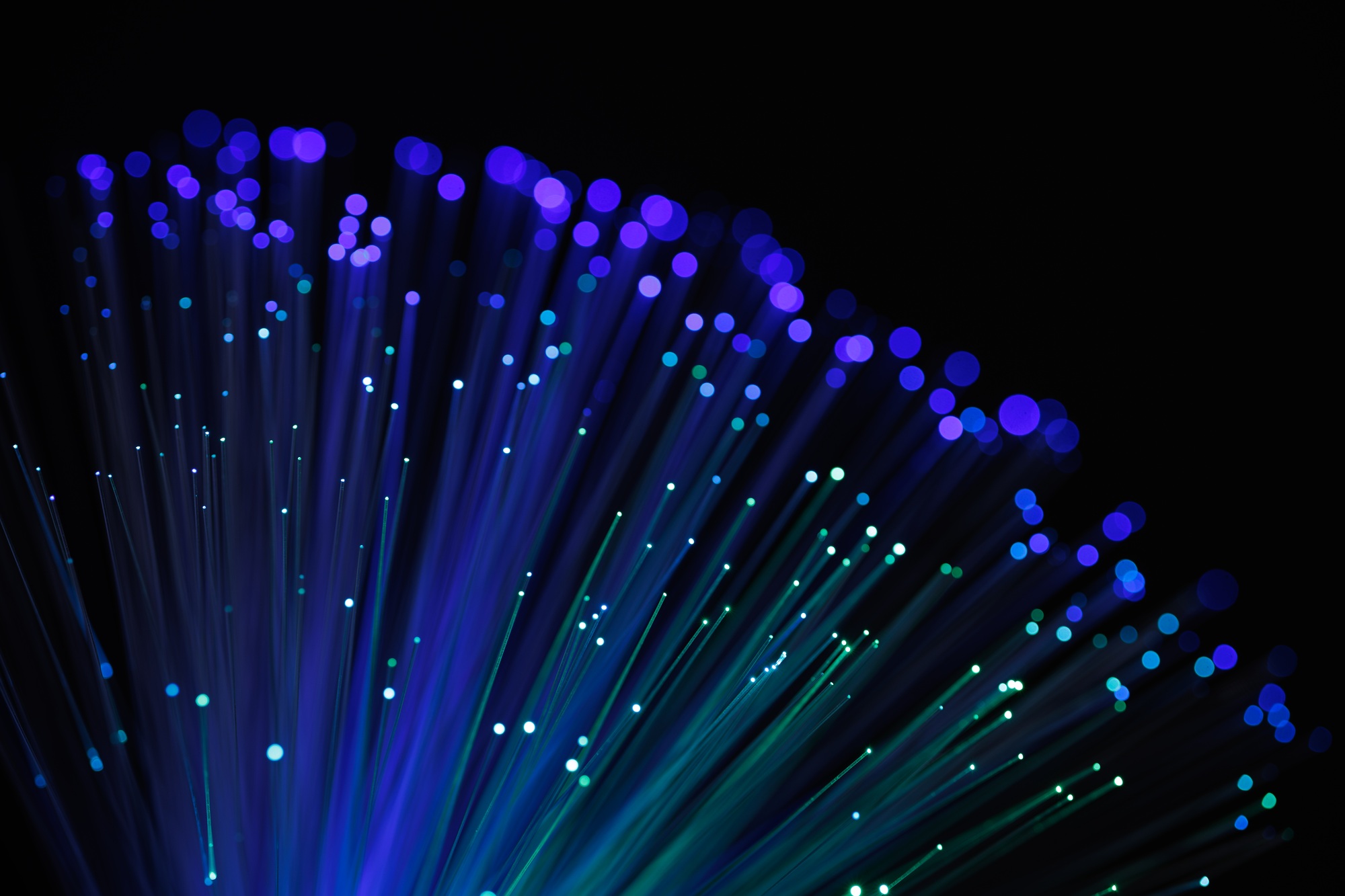 Glowing fiber optic cables with vibrant blue and purple bokeh lights on a dark background